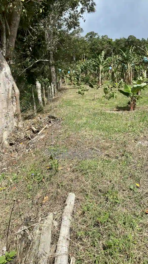 Finca La Esperanza
